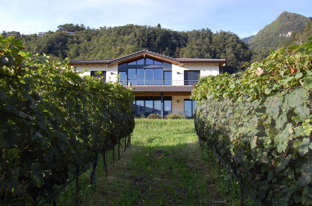 B&B Il Vigneto Melano Exteriör bild