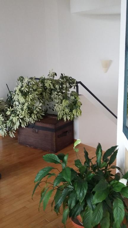 B&B Il Vigneto Melano Exteriör bild