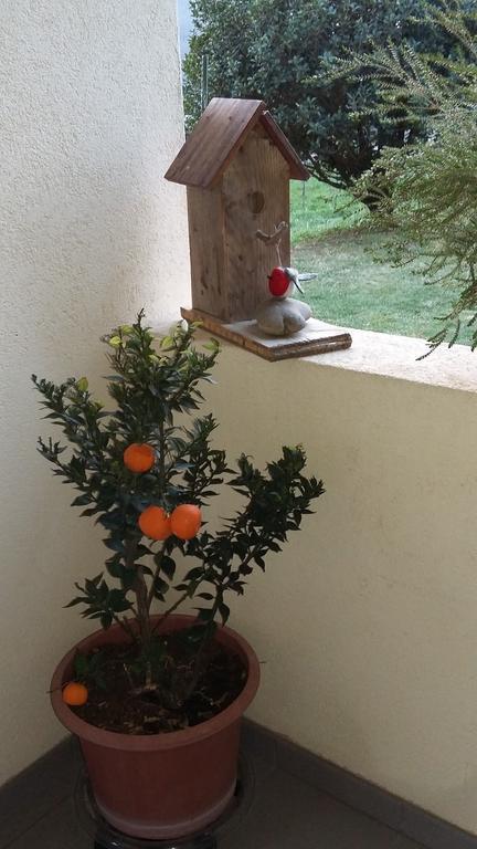 B&B Il Vigneto Melano Exteriör bild